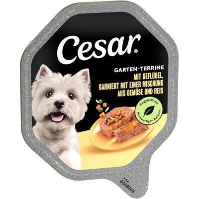 Megapack Cesar kuipjes 28 x 150 g - Gevogelte, groente en rijst Megapack Cesar kuipjes 28 x 150 g - Gevogelte, groente en rijst