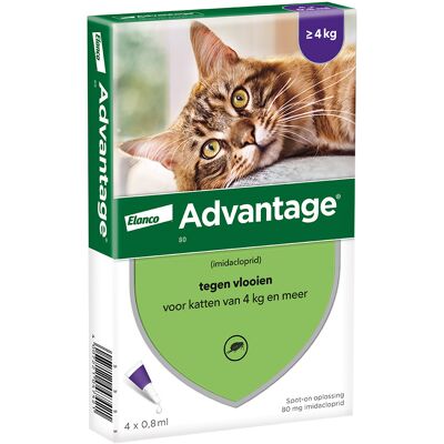 4 Pipetten Advantage 80 voor katten vanaf 4kg - NL 4 Pipetten Advantage 80 voor katten vanaf 4kg - NL