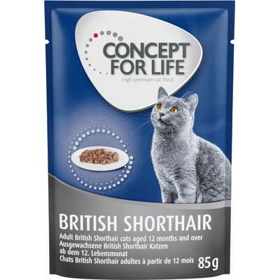 24x85g British Shorthair Adult (Ragout-Kwaliteit) Concept for Life Kattenvoer 24x85g British Shorthair Adult (Ragout-Kwaliteit) Concept for Life Kattenvoer