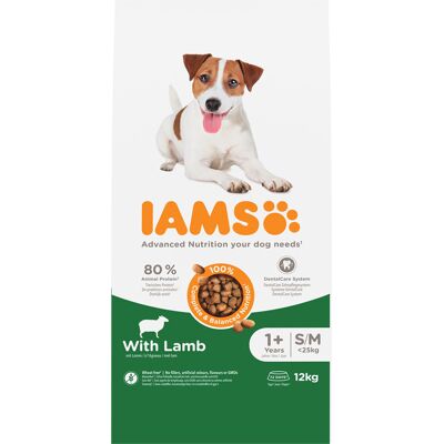 12kg IAMS Advanced Nutrition Adult Small & Medium Dog met lam droogvoer voor honden 12kg IAMS Advanced Nutrition Adult Small & Medium Dog met lam droogvoer voor honden
