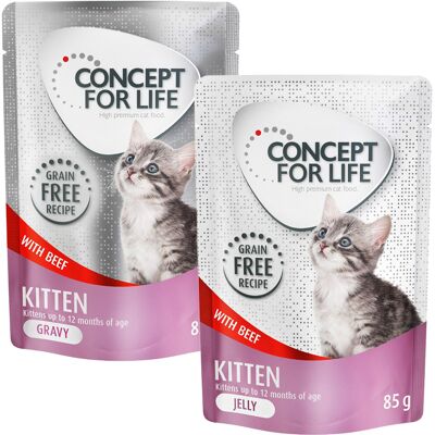 Gemengd Voordeelpakket Concept for Life Gelei & Saus graanvrij 24 x 85 g Kattenvoer - Kitten Rund in Saus & Gelei Gemengd Voordeelpakket Concept for Life Gelei & Saus graanvrij 24 x 85 g Kattenvoer - Kitten Rund in Saus & Gelei