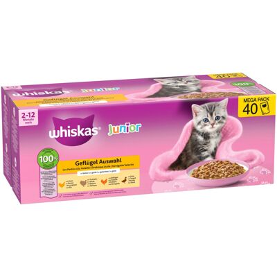 40x85g Whiskas Junior Vershoudzakjes Gevogelte in Gelei (4 Soorten) nat kattenvoer 40x85g Whiskas Junior Vershoudzakjes Gevogelte in Gelei (4 Soorten) nat kattenvoer