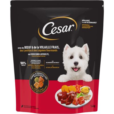 Voordeelpakket: 5x1,4kg Cesar Adult met rund, gevogelte en groenten droogvoer voor honden Voordeelpakket: 5x1,4kg Cesar Adult met rund, gevogelte en groenten droogvoer voor honden