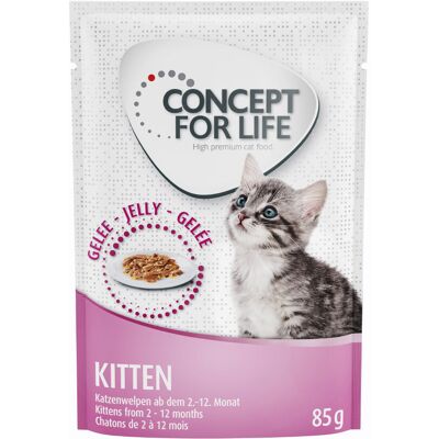 24x85g Kitten in Gelei Concept for Life Kattenvoer 24x85g Kitten in Gelei Concept for Life Kattenvoer