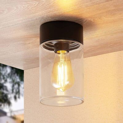 Arcchio Liljana buiten plafondlamp, IP65, zwart Arcchio, dimbaar, zwart, Glas, Modern, plafondlamp Arcchio Liljana buiten plafondlamp, IP65, zwart Arcchio, dimbaar, zwart, Glas, Modern, plafondlamp