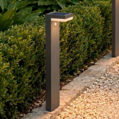 https://www.lampen24.be/p/lindby-led-tuinpadverlichting-chioma-antraciet-sensor-9988193.html?lw_om_view=recotop&utm_medium=pv&utm_source=kelkoo&utm_campaign=cpc_be&utm_content=9988193&utm_term=178 https://www.lampen24.be/p/lindby-led-tuinpadverlichting-chioma-antraciet-sensor-9988193.html?lw_om_view=recotop&utm_medium=pv&utm_source=kelkoo&utm_campaign=cpc_be&utm_content=9988193&utm_term=178