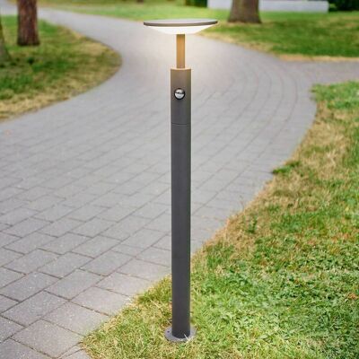 LED tuinpadverlichting met bewegingssensor Fenia Lucande, zwart, Aluminium, Modern, LED buitenlamp LED tuinpadverlichting met bewegingssensor Fenia Lucande, zwart, Aluminium, Modern, LED buitenlamp