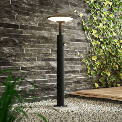 LED tuinpadverlichting met bewegingssensor Fenia Lucande, zwart, Aluminium, Modern, LED buitenlamp LED tuinpadverlichting met bewegingssensor Fenia Lucande, zwart, Aluminium, Modern, LED buitenlamp