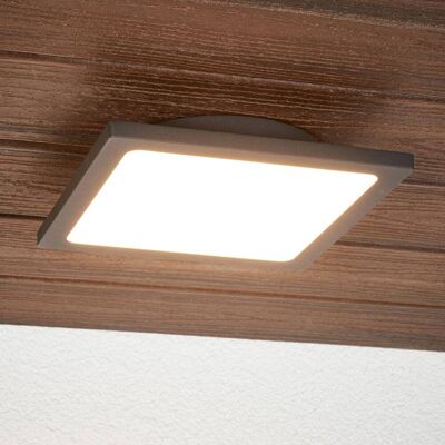 Lucande LED buiten plafondlamp Mabella, 23 cm, sensor, IP65 Mabella, zwart, Aluminium, Modern, LED plafondlamp Lucande LED buiten plafondlamp Mabella, 23 cm, sensor, IP65 Mabella, zwart, Aluminium, Modern, LED plafondlamp