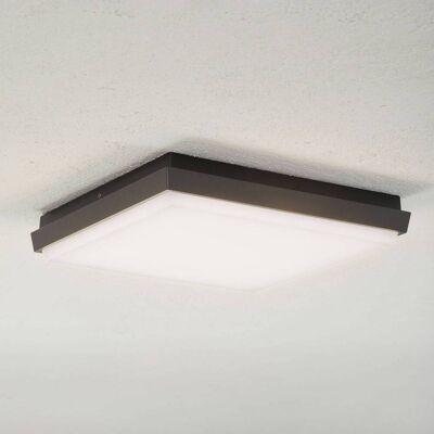 Lucande LED buiten plafondlamp Amra, 30 cm, hoekig, antraciet Amra, zwart, Kunststof, Modern, LED plafondlamp Lucande LED buiten plafondlamp Amra, 30 cm, hoekig, antraciet Amra, zwart, Kunststof, Modern, LED plafondlamp