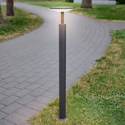 https://www.lampen24.be/p/lucande-led-tuinpadverlichting-fenia-100-cm-antraciet-ip65-9619132.html?lw_om_view=recotop&utm_medium=pv&utm_source=kelkoo&utm_campaign=cpc_be&utm_content=9619132&utm_term=148 https://www.lampen24.be/p/lucande-led-tuinpadverlichting-fenia-100-cm-antraciet-ip65-9619132.html?lw_om_view=recotop&utm_medium=pv&utm_source=kelkoo&utm_campaign=cpc_be&utm_content=9619132&utm_term=148