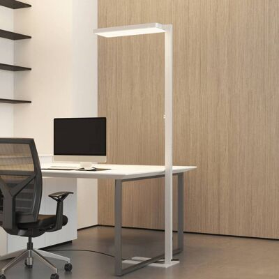 Arcchio LED vloerlamp Timon, 195 cm, wit, 54 W, aluminium Timon Arcchio, dimbaar, wit / opaal, Werkkamer / Kantoor, Aluminium, Modern Arcchio LED vloerlamp Timon, 195 cm, wit, 54 W, aluminium Timon Arcchio, dimbaar, wit / opaal, Werkkamer / Kantoor, Aluminium, Modern