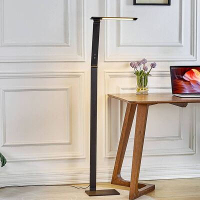 LED-vloerlamp Salome Lucande, dimbaar, zwart, Werkkamer / Kantoor, Aluminium, Modern, LED vloerlamp LED-vloerlamp Salome Lucande, dimbaar, zwart, Werkkamer / Kantoor, Aluminium, Modern, LED vloerlamp