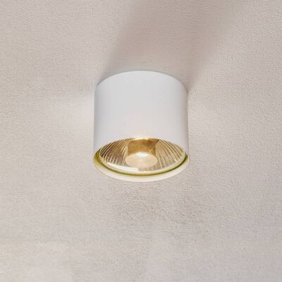 Plafondspot Bot, wit, 1-lamp Bot ALDEX, dimbaar, wit / opaal, Woon-/ Eetkamer, metaal, buitenspot Plafondspot Bot, wit, 1-lamp Bot ALDEX, dimbaar, wit / opaal, Woon-/ Eetkamer, metaal, buitenspot