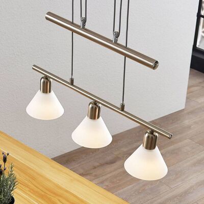 Hanglamp Delira Lindby, dimbaar, alu / grijs / zink, Woon-/ Eetkamer, metaal, Modern, hanglamp Hanglamp Delira Lindby, dimbaar, alu / grijs / zink, Woon-/ Eetkamer, metaal, Modern, hanglamp