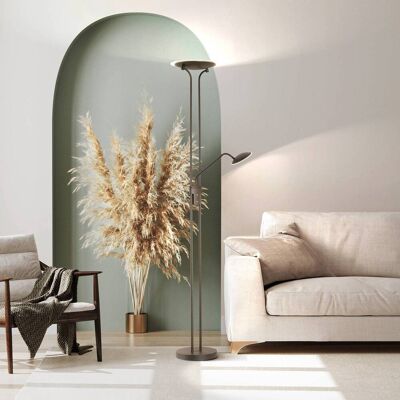 FISCHER & HONSEL LED-uplighter vloerlamp Tallri, dimbaar, zwart, Woon-/ Eetkamer, metaal, Modern, LED vloerlamp FISCHER & HONSEL LED-uplighter vloerlamp Tallri, dimbaar, zwart, Woon-/ Eetkamer, metaal, Modern, LED vloerlamp
