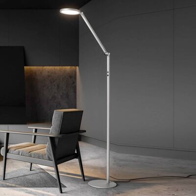 Fabas Luce LED-vloerlamp Regina, dimbaar, alu / grijs / zink, Woon-/ Eetkamer, metaal, Modern, LED vloerlamp Fabas Luce LED-vloerlamp Regina, dimbaar, alu / grijs / zink, Woon-/ Eetkamer, metaal, Modern, LED vloerlamp