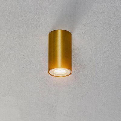 Euluna Downlight Eye S in cilindervorm, messing Nowodvorski Lighting, dimbaar, messing / goud, Woon-/ Eetkamer, metaal, Modern, buitenspot Euluna Downlight Eye S in cilindervorm, messing Nowodvorski Lighting, dimbaar, messing / goud, Woon-/ Eetkamer, metaal, Modern, buitenspot