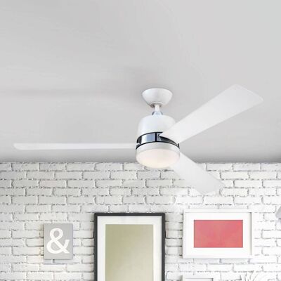 Westinghouse Tristan ventilator, licht, wit/ahorn, hout licht, Woon-/ Eetkamer, Hout, Modern Westinghouse Tristan ventilator, licht, wit/ahorn, hout licht, Woon-/ Eetkamer, Hout, Modern