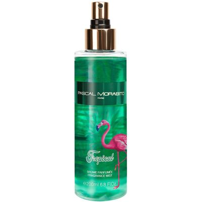 PASCAL MORABITO Tropical PASCAL MORABITO Tropical
