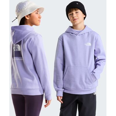 THE NORTH FACE Hoodie, opdruk op de rug, BOX THE NORTH FACE Hoodie, opdruk op de rug, BOX