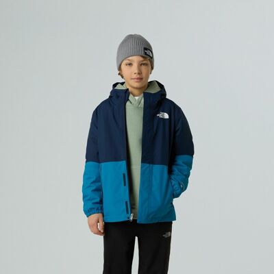 THE NORTH FACE Jas en kap met sherpa voering THE NORTH FACE Jas en kap met sherpa voering