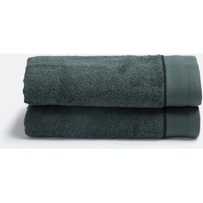 LA REDOUTE INTERIEURS Set van 2 gekamde katoenen handdoeken 675g/m², Victor LA REDOUTE INTERIEURS Set van 2 gekamde katoenen handdoeken 675g/m², Victor