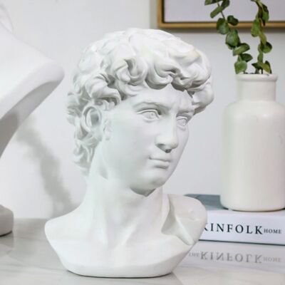 LOULONG David van Michelangelo - Hoofd Standbeeld Sculptuur Decor Ornament Hars Tuin Bureau Wit LOULONG David van Michelangelo - Hoofd Standbeeld Sculptuur Decor Ornament Hars Tuin Bureau Wit