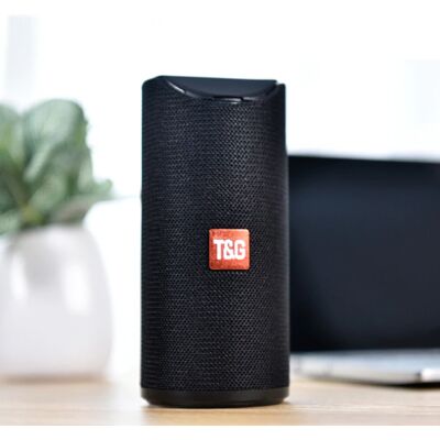 T & G TG-113 Draadloze Soundbar Luidspreker Wireless Bluetooth 4.2 Speaker Box Zwart T & G TG-113 Draadloze Soundbar Luidspreker Wireless Bluetooth 4.2 Speaker Box Zwart