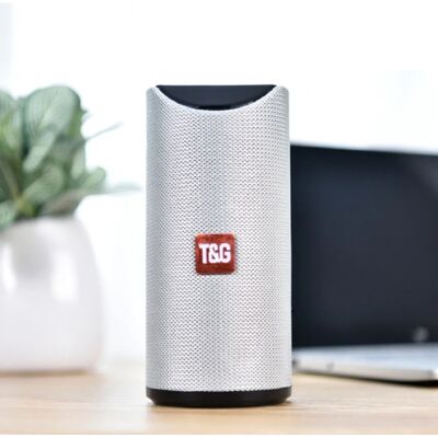 T & G TG-113 Draadloze Soundbar Luidspreker Wireless Bluetooth 4.2 Speaker Box Zilver T & G TG-113 Draadloze Soundbar Luidspreker Wireless Bluetooth 4.2 Speaker Box Zilver