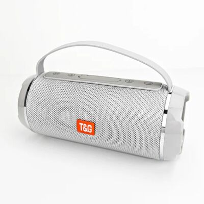T & G TG-116C Draadloze Luidspreker - 1200mAh Bluetooth Soundbar - Grijs T & G TG-116C Draadloze Luidspreker - 1200mAh Bluetooth Soundbar - Grijs
