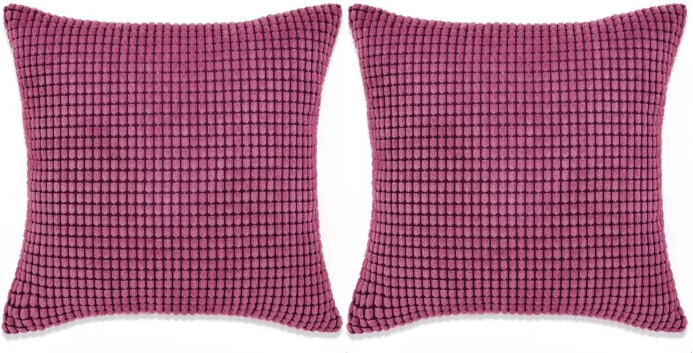 vidaXL Sierkussenset 60x60 cm velours roze 2-delig