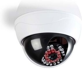 Nedis Dummy-camera dome voor buitengebruik met LED Wit