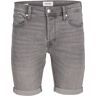 Jack & Jones Jwhrick jjoriginal shorts sq 273 Grijs 2X-Large Male