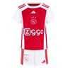 Ajax Thuis babykit 23/24 Print / Multi 80 Male