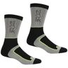 Regatta Heren samaris 2 season socks (pak van 2) Grijs 43-47 Male