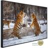 Papermoon Infraroodverwarming Strijd tegen Siberische tijger multicolor 80 cm x 60 cm x 3 cm