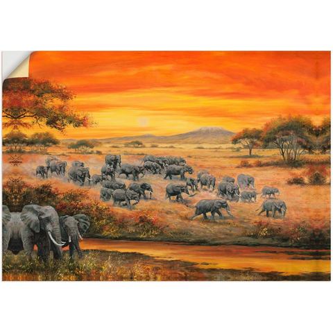 Artland Artprint Wilde leven - olifanten in vele afmetingen & productsoorten - artprint van aluminium / artprint voor buiten, artprint op linnen, poster, muursticker / wandfolie ook geschikt voor de badkamer (1 stuk)  - 27.99 - oranje - Size: 70 cm x 50 cm