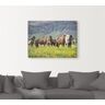 Artland Artprint IJslandse paarden VII als artprint op linnen, poster, muursticker in verschillende maten groen 80 cm x 60 cm