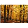 Artland Artprint Wandeling in herfstbos als artprint van aluminium, artprint voor buiten, artprint op linnen, poster in verschillende maten. maten goud 120 cm x 80 cm