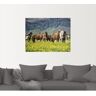 Artland Artprint IJslandse paarden VII als artprint op linnen, poster, muursticker in verschillende maten groen 120 cm x 90 cm