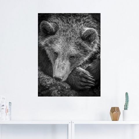 Artland artprint »Braunbär«  - 22.99 - zwart