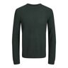 Jack & Jones PlusSize Trui, geschikt voor het geven van borstvoeding JORBRODY KNIT CREW NECK BF PLS groen 3X-Large