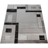 Paco Home Vloerkleed Florence modern 3d-design, ideaal in de woonkamer & slaapkamer grijs 120x170 cm