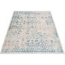 andas Vloerkleed Dilara Vintage-design, met franje, woonkamer multicolor 80x150 cm;120x170 cm;160 cm x 230 cm x 5 mm