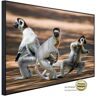 Papermoon Infraroodverwarming Dansende Sifakas zeer aangename stralingswarmte multicolor 120 cm x 90 cm x 3 cm