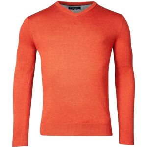 Baileys Trui Cotton Uni V-Neck Single Knit Dark Terra / male Baileys Trui Cotton Uni V-Neck Single Knit Dark Terra / male