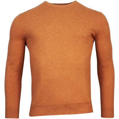 Baileys Trui Ronde Hals Single Knit Pima Cotton Donker Goud / male Baileys Trui Ronde Hals Single Knit Pima Cotton Donker Goud / male
