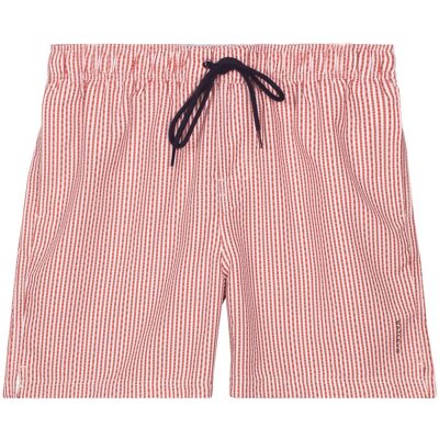Baileys Swim Short Allover Printed Seersucker Stripe Terra / male Baileys Swim Short Allover Printed Seersucker Stripe Terra / male
