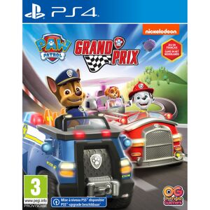Namco Paw Patrol: Grand Prix PS4
